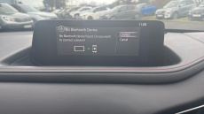 Mazda CX-30 2.5 e-Skyactiv G MHEV [140] Homura 5dr Petrol Hatchback